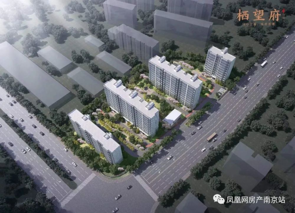 在南京开发的两个项目均为府系(江北国际健康城g08案名为富园·玖誉