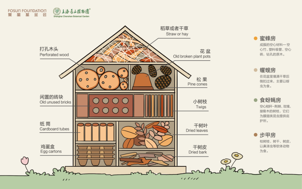 千园千校上海国际自然保护周昆虫旅馆给昆虫们一个温暖的家过冬