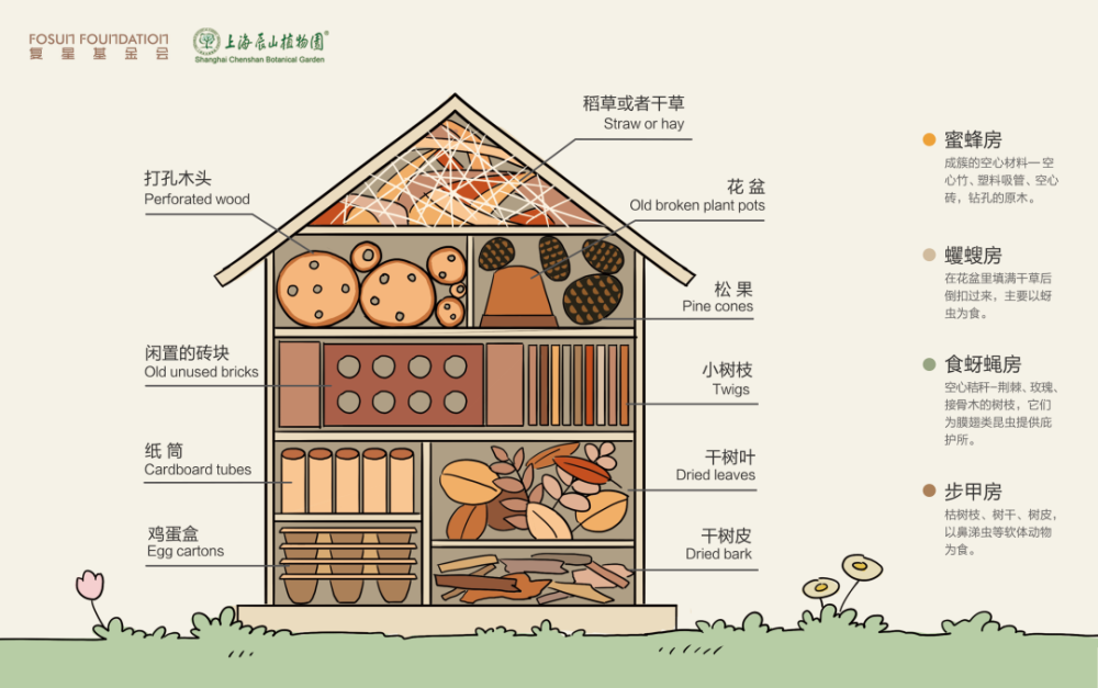 "千园千校 上海国际自然保护周"| 昆虫旅馆——给昆虫