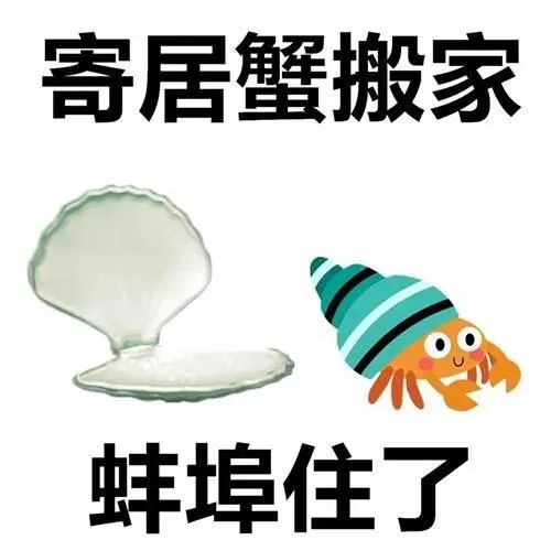 阴阳怪气歇后语表情包小王八掉眼泪