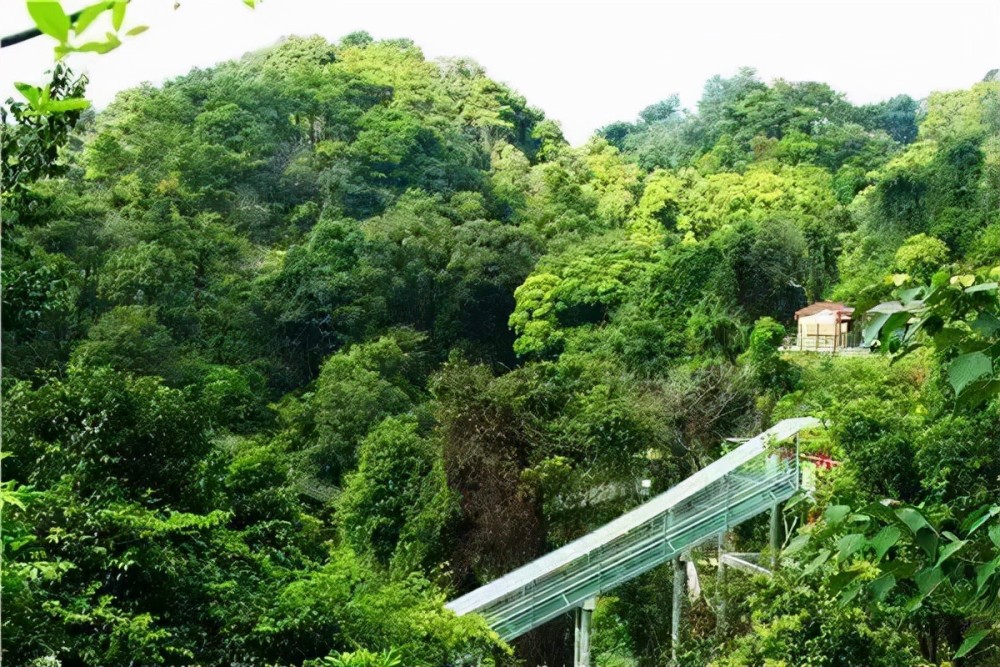 佛山南丹山,游玩高山玻璃桥,松鼠部落,动物剧场,戏水乐园