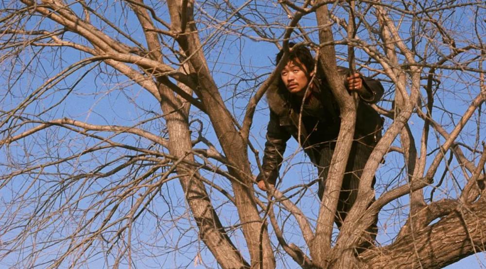10年后再看《hello!树先生》,我终于明白树哥才是唯一的正常人