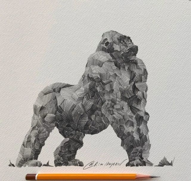 素描参考,各种动物的画法