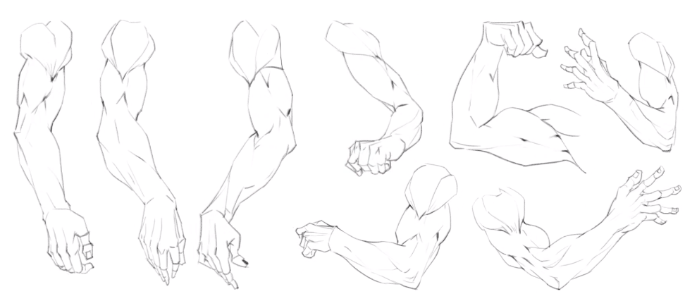 深入人体结构,教你如何画出正确的人物手臂!