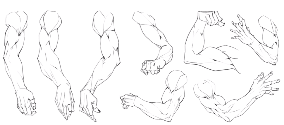 深入人体结构教你如何画出正确的人物手臂