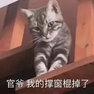 今日热门表情包(10.21)|拳头硬了