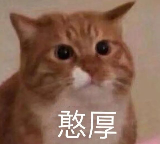 今日热门表情包(10.21)|拳头硬了