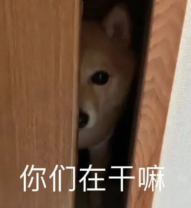 今日热门表情包(10.21)|拳头硬了