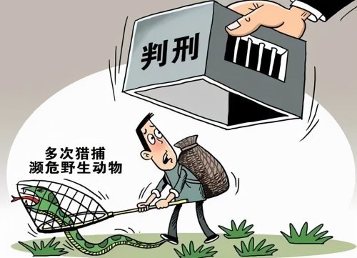 以案释法拒绝非法猎捕收购出售野生动物保护生物多样之美