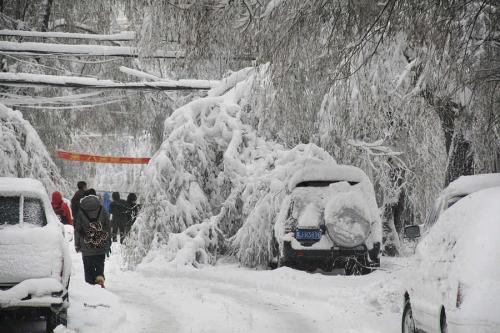 2008年1月3日,中国发生了大范围的雪灾,中国上海,江苏,河南,安徽,广东