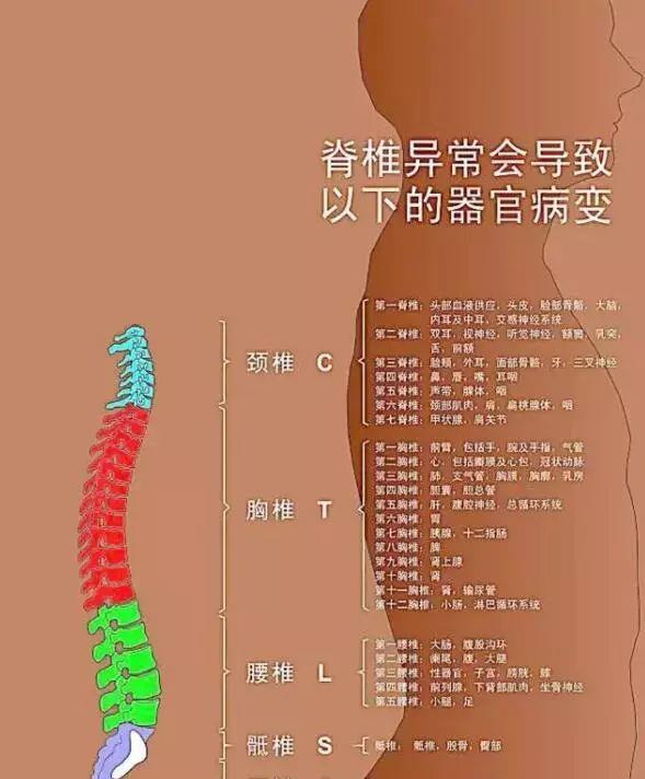 这样保养,疾病去无踪!