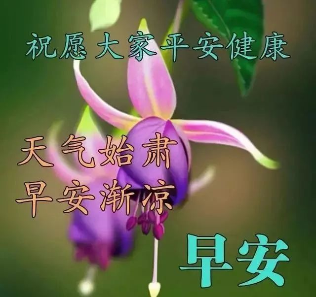 2022年2月24日清晨早上好问候祝福动态表情图片最新早安问候祝福图片