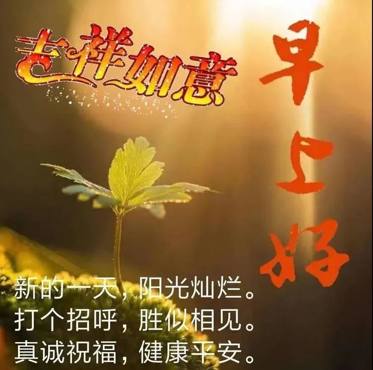 最新版早安短信问候祝福语大全最美早安问候语图片带字温馨