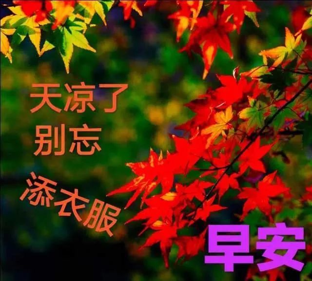 早安天冷温馨祝福语好看的图片带字早上好动态表情图片