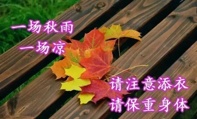 8张最美秋天风景早上好图片带字带祝福语 免打字聊天