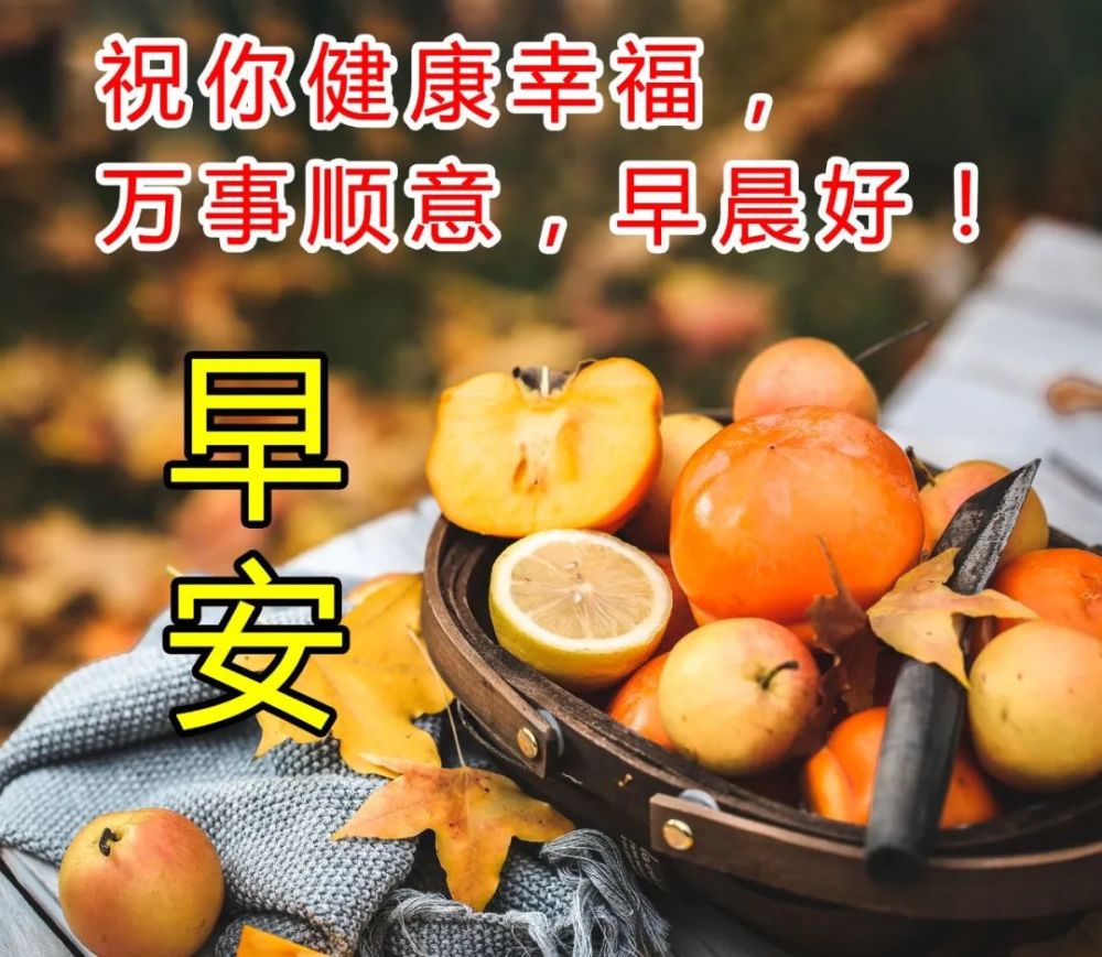 超好看的清晨温馨的早安问候祝福语图片早安问候祝福动态图片