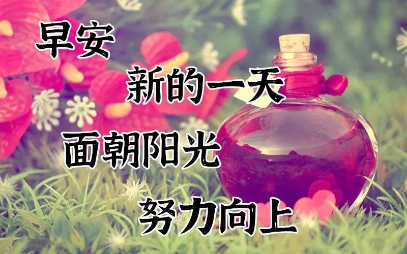 10月22日早上好每日问候