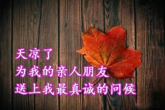 秋天天冷了关心问候祝福早安图片精选 天冷了注意添衣保暖问候语带
