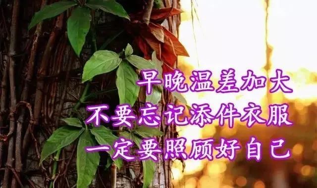 秋天天冷了关心问候祝福早安图片精选 天冷了注意添衣保暖问候语带