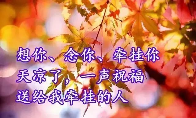 秋天天冷了关心问候祝福早安图片精选 天冷了注意添衣保暖问候语带