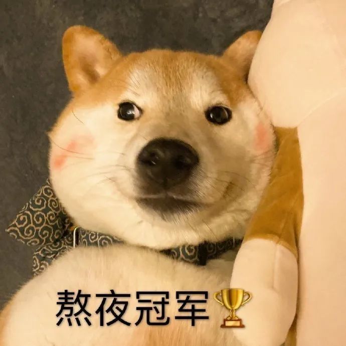 表情包动图大师我悟了