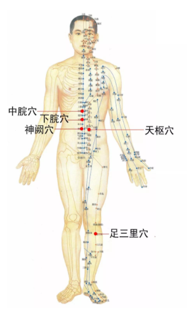 肾经,肝经,脾经都在腿内侧,一般情况下都是这三条经络一同疏通.