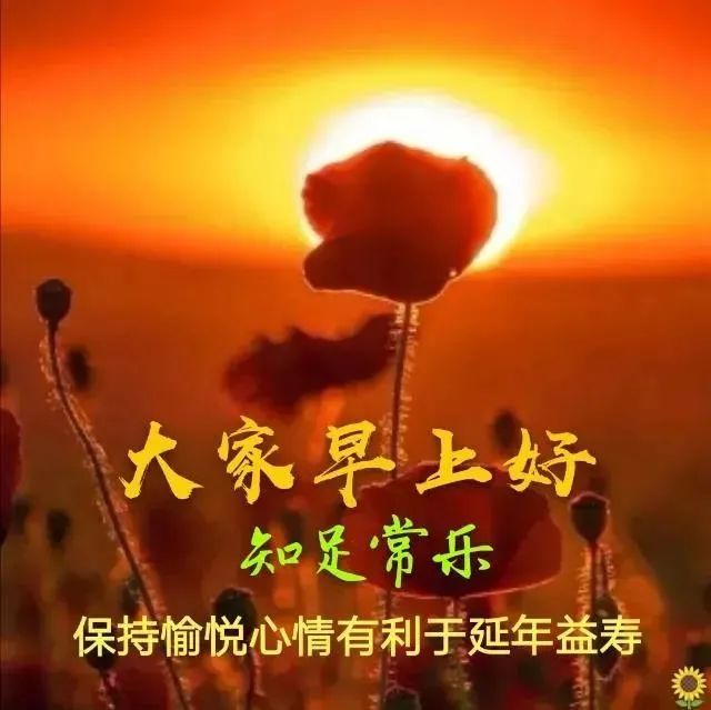 早上好最新高清图片祝福语聊天早上好问候表情包文字精选