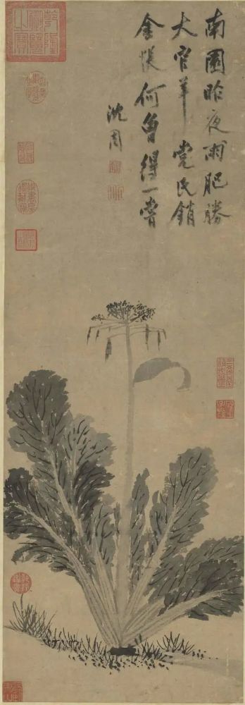 沈周花鸟画赏析