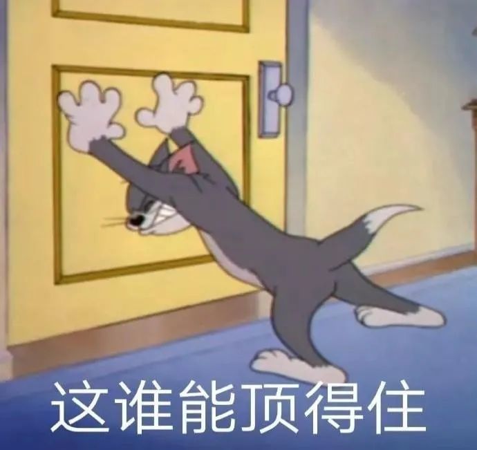 表情包精选做最浪的鸭鸭