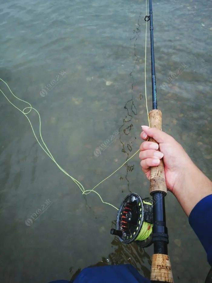 平原江河飞蝇钓:大风大浪搏鳡鱼