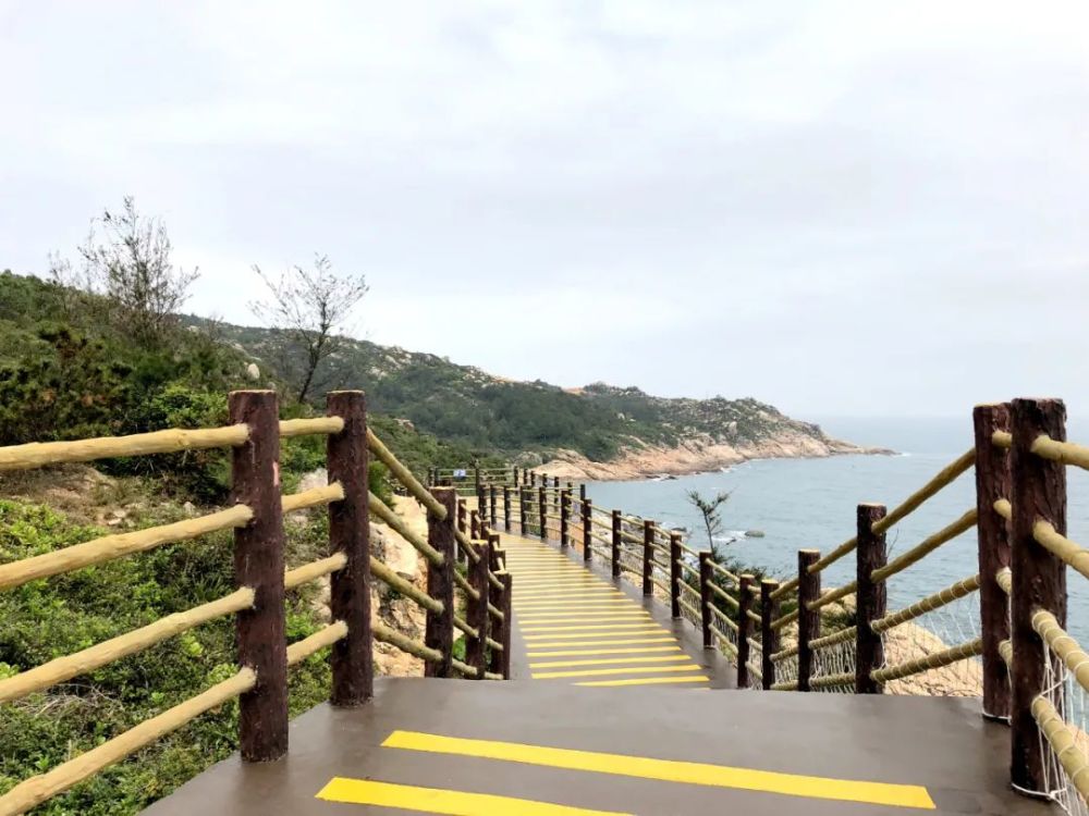 惠东海龟湾10月23日起恢复开园附景区预约方式