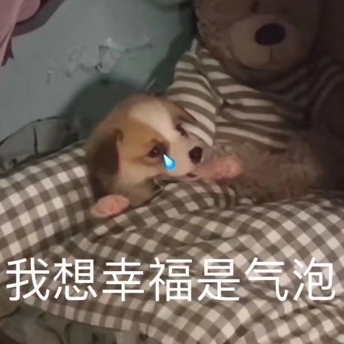 搞笑表情包我想幸福是气泡