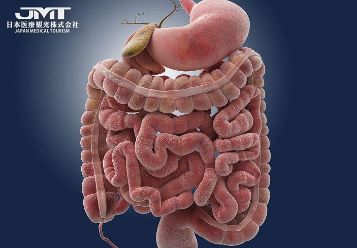 jmt日本看病|一文解析小肠癌(十二指肠癌·空肠癌·回