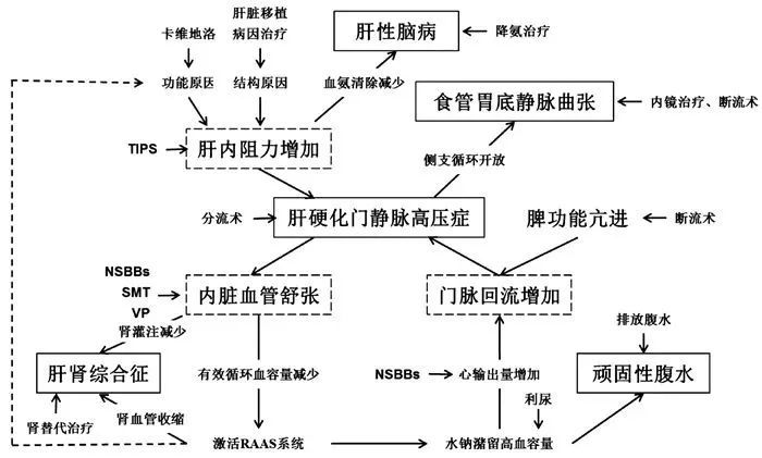 肝硬化门静脉高压症多学科诊治基于肝静脉压力梯度专家共识