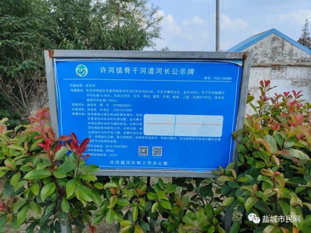 网友反映:东台许河镇安琼河已经绿得看不到河水了