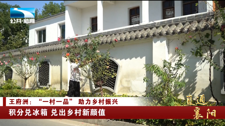 【直通襄阳】王府洲"一村一品 助力乡村振兴