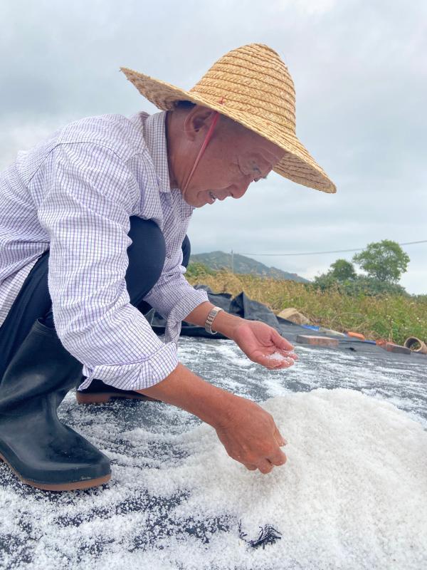 【惠州文脉·风物】古淡水场盐业千年变迁 勾勒惠州沿海聚落历史流变