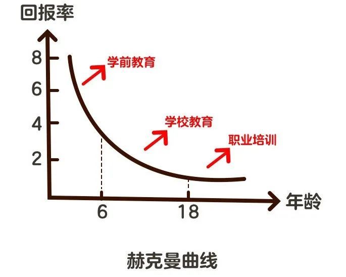 大学时投资1元,成年后回报:1元;小学时投资1元,成年后回报:3元;3到4岁