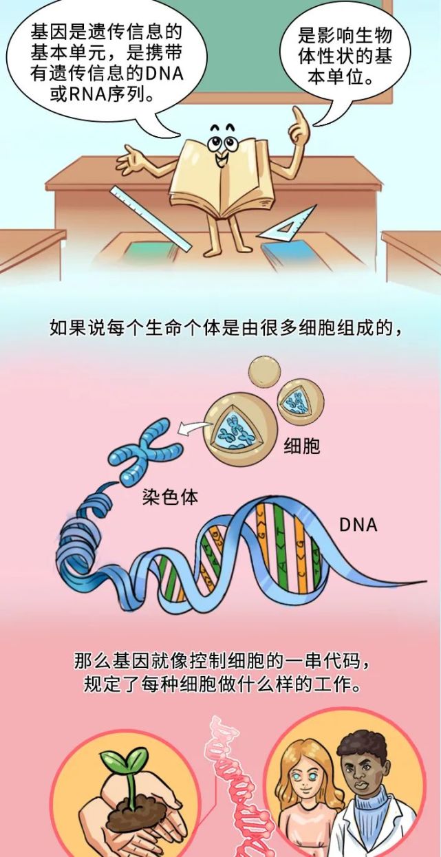 科有趣|转基因技术你该知道的事!