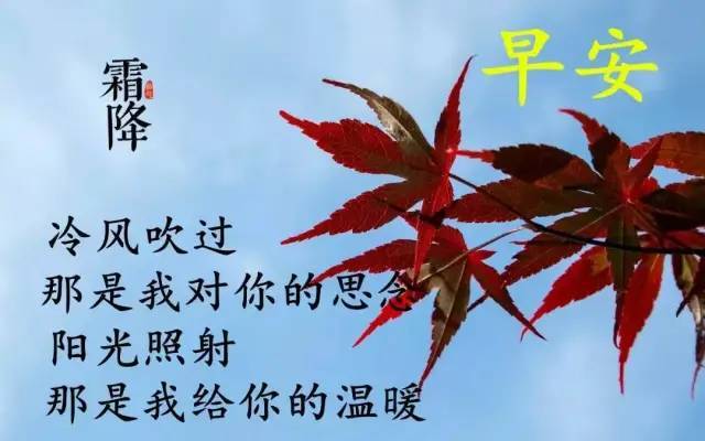 朋友圈霜降祝福语,霜降带字问候图