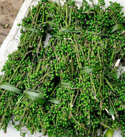木姜子:自带胡椒味,山区常烂一地,城里1斤38元,遇到请拿袋装
