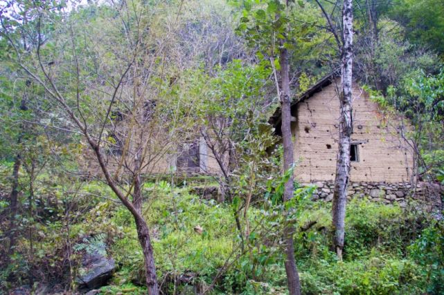 秦岭红岩沟中,像这样无人居住的老房子不止一处,实际上到处都是