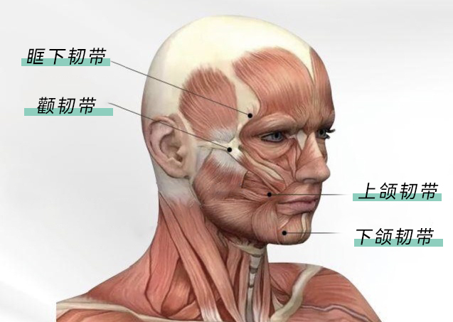 显丧又显老,元凶竟然是这个部位!