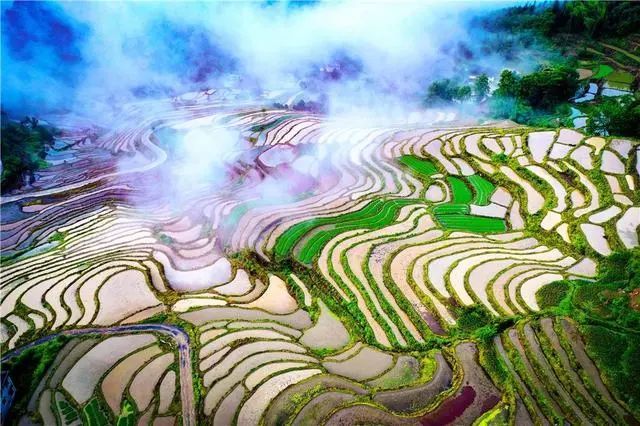 东安用影像记录"云上梯田"美景
