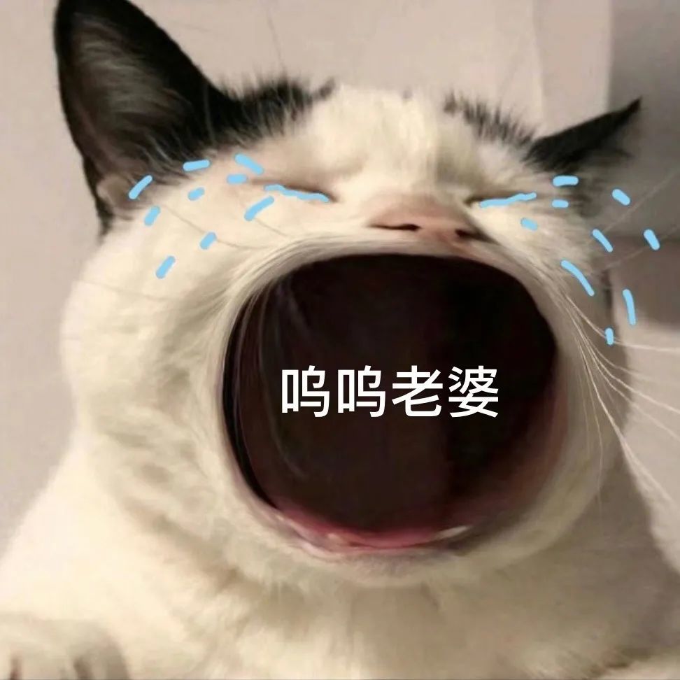 猫咪张大嘴哭表情包