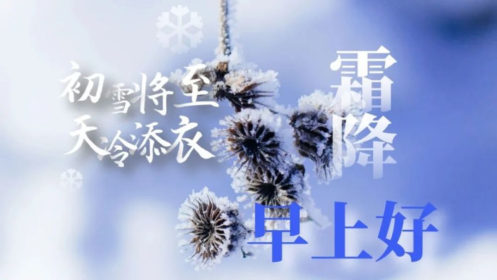霜降节气祝福语大全霜降问候语说说文案有关霜降的朋友圈心情个性签名
