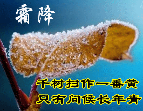 2021秋天最后一个节气霜降祝福语集锦 好看的霜降动画带字图片