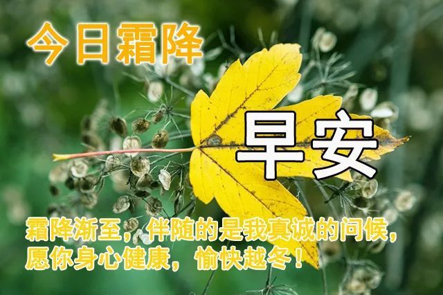 霜降特漂亮的早安图片祝福动态表情,霜降节气最美的祝福句子