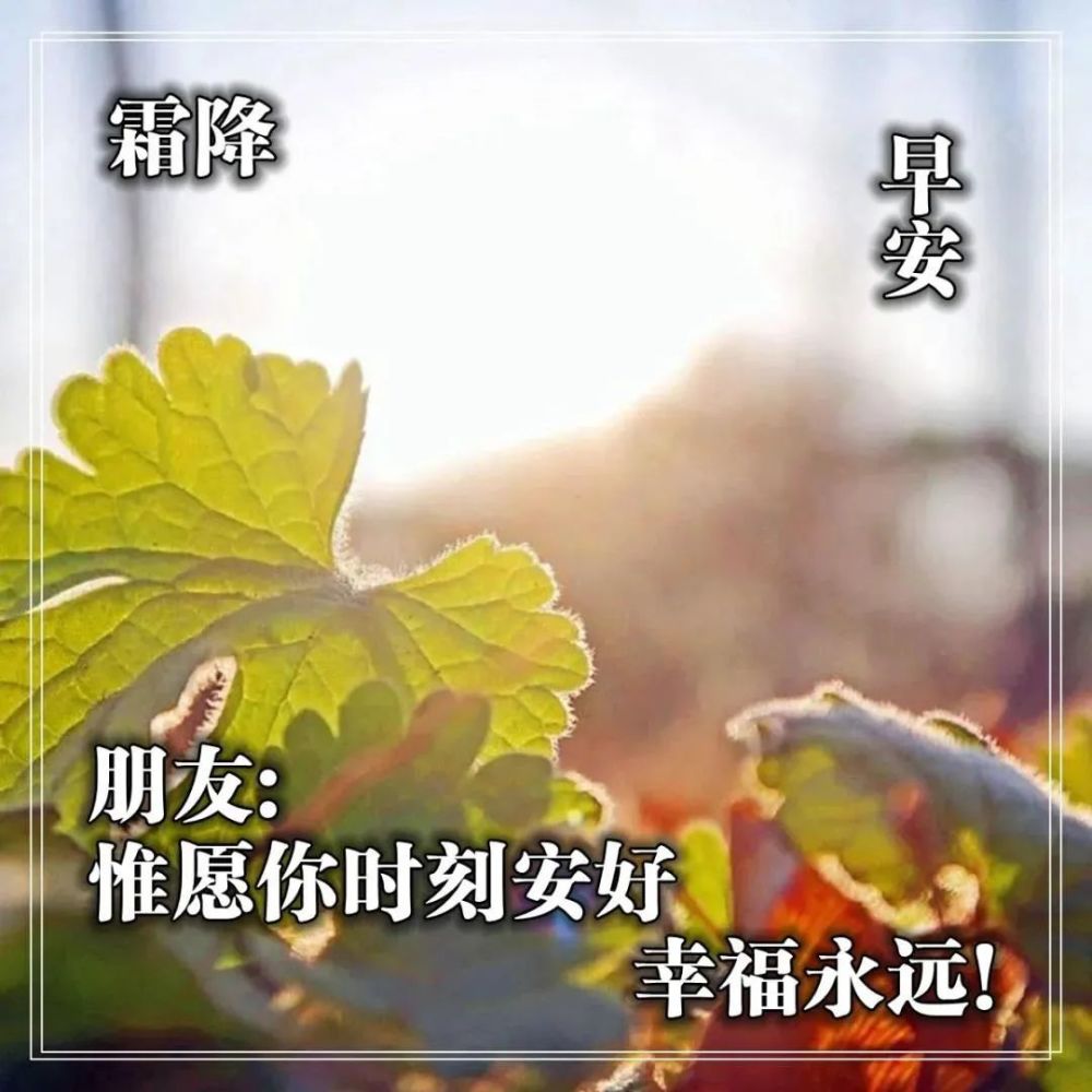 2021年10月23日早安霜降问候祝福语及关心话,霜降最美
