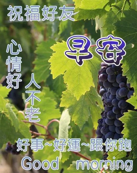 周末愉快祝福语周末早安图片祝福语